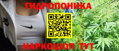 тгк Лесосибирск